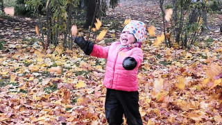 Kuvaaja: Donna Niemistö