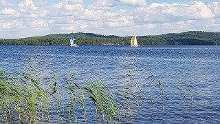 Kuva: Anu Kettunen / Jyväskylän yliopisto.
