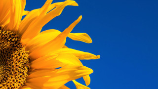 Ruotsin opiskelu starttaa valmentavalla kurssilla hyvin, vaikka edellisistä kielen opinnoista olisi jo tovi aikaa. Tervetuloa kertaamaan ydinasiat!