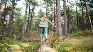 Mitä mitataan, kun tähdätään vastuullisuuteen? Mitä se tarkoittaa talouden näkökulmasta? Vastuullinen taloustiede kurssilla tutustut mm. donitsitalouden periaatteisiin.