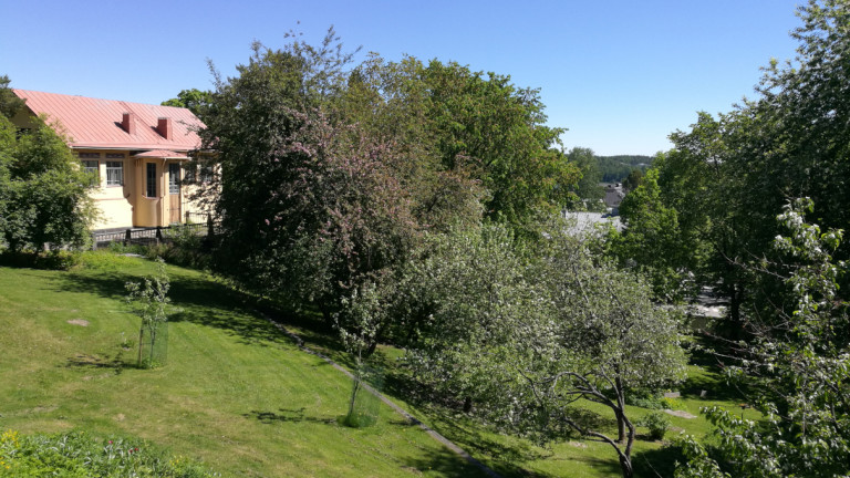 Villa Ranan puisto