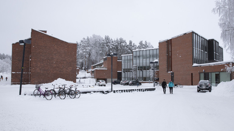 Opinkivi kuvattuna talvella Liikuntarakennuksen suunnasta
