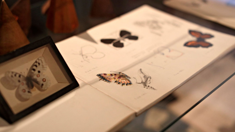 Jyväskylän yliopiston Näyttelykeskus Soihdussa on esillä opetuksen historiaan liittyviä esineitä ja näytteitä.