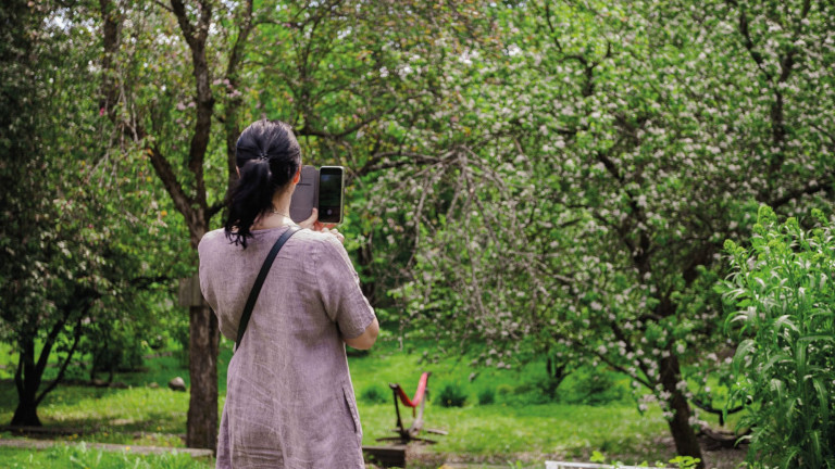 Kasvitieteellinen puutarha, Villa Ranan pihaa