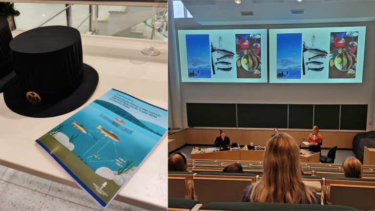 Henna Kangosjärvi's dissertation