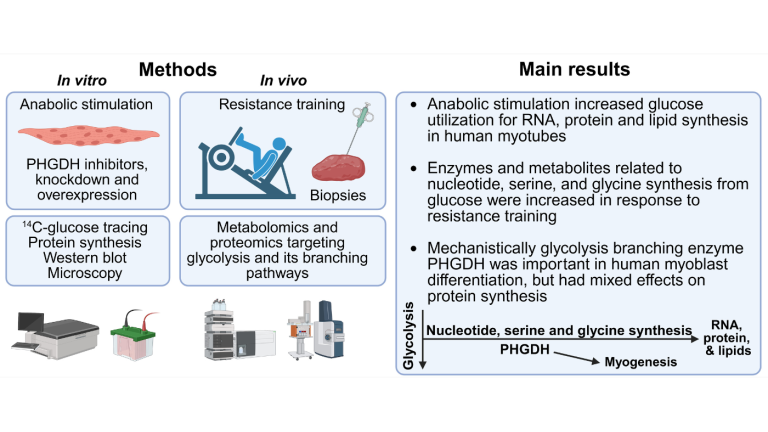 Infograph showing the mains results of the study