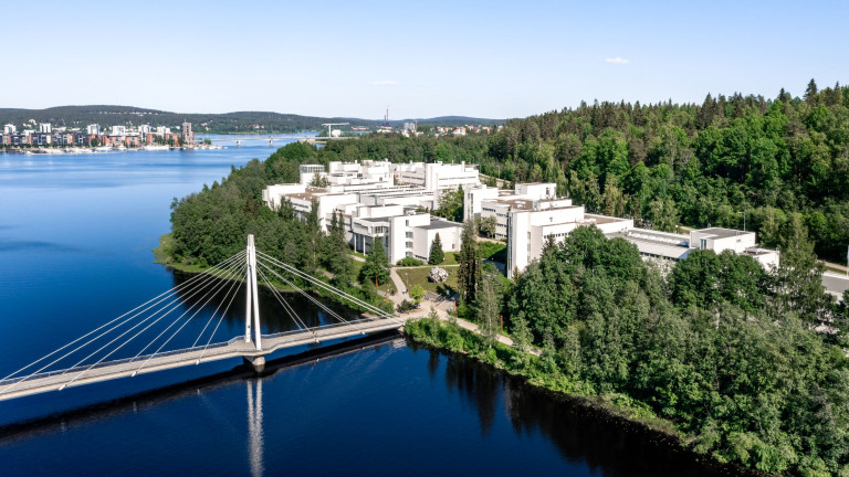 Jyväskylän yliopisto on mukana Synjet-hankkeessa, jossa tutkitaan, miten uusiutuvia raaka-aineita voidaan muuntaa lentopolttoaineiksi sekä esimerkiksi kumin ja kosmetiikan ainesosiksi. Kuva: Jyväskylän yliopisto