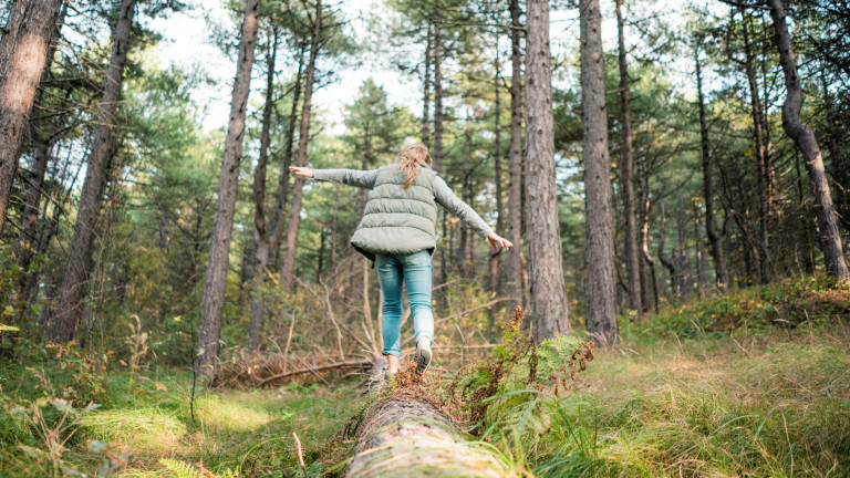 Mitä mitataan, kun tähdätään vastuullisuuteen? Mitä se tarkoittaa talouden näkökulmasta? Vastuullinen taloustiede kurssilla tutustut mm. donitsitalouden periaatteisiin.