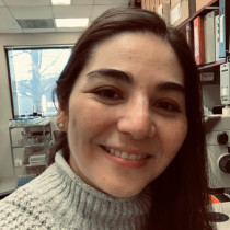 Paulina Arancibia Agurto