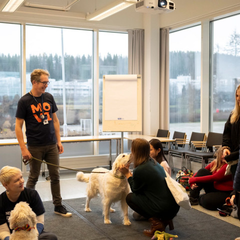 Kaverikoirat Hakijan päivässä 2025