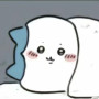 Yibo Chen