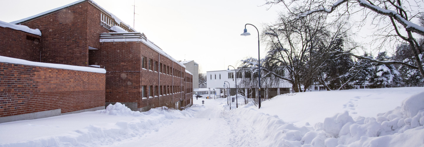 Talvinen kampuskuva.