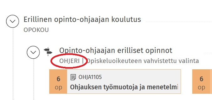 Opintoohjaajan erillisopintojen opintokokonaisuuden koonti