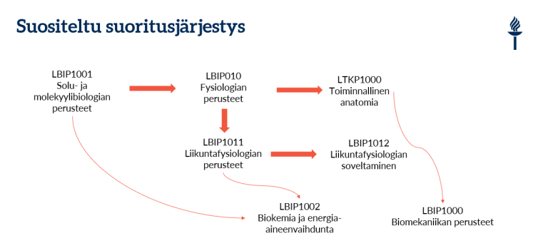 Kuvan muodossa alla tekstinä kuvattu asia, suositus siitä missä järjestyksessä liikuntabiologian opinnot kannattaa suorittaa.